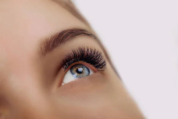 Procedura di estensione delle ciglia. Occhio di donna con lunghe ciglia blu. Effetto ombre. Focus ravvicinato e selettivo . — Foto Stock