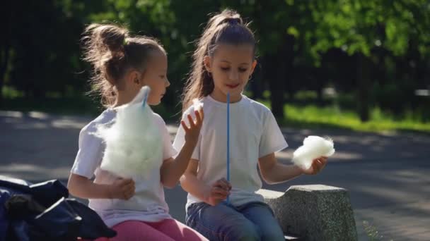 Две маленькие девочки едят ватные конфеты в парке. Счастливые дети любят есть сладкую зубную нить в летний день на открытом воздухе. Счастливого детства . — стоковое видео