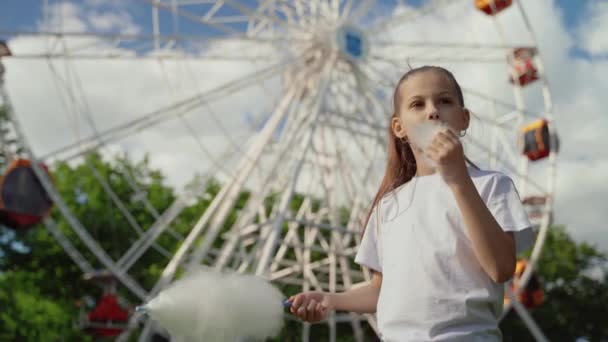 Retrato de un niño con dulces de algodón. Una niña en el fondo de la noria está comiendo caramelo-hilo dental verano día soleado . — Vídeo de stock