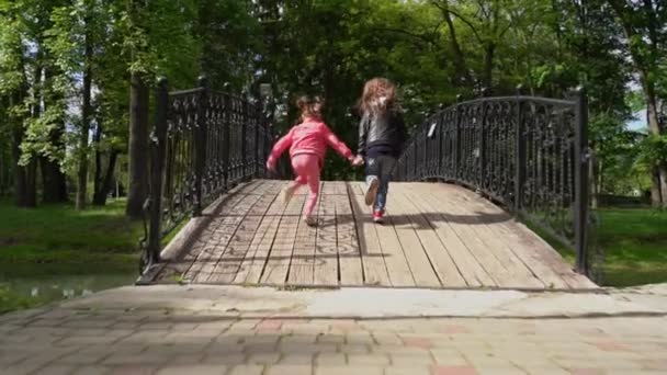 Niños alegres están tomados de la mano corriendo por el parque sobre el puente. Disparo en cámara lenta . — Vídeo de stock