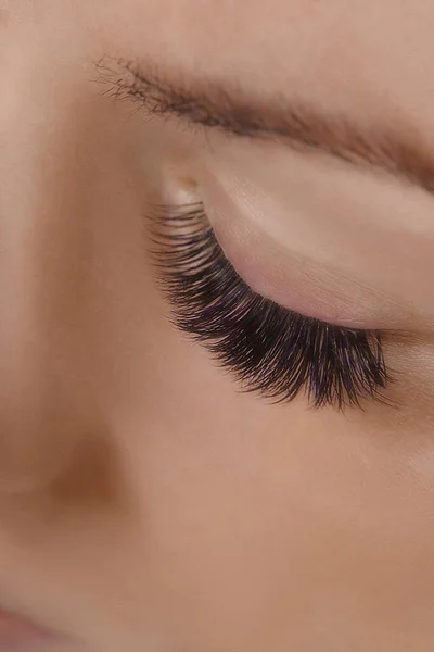 Ögonfransförlängningsprocedur. Närbild av vackra kvinnliga ögat med långa ögonfransar, smidig frisk hud. — Stockfoto