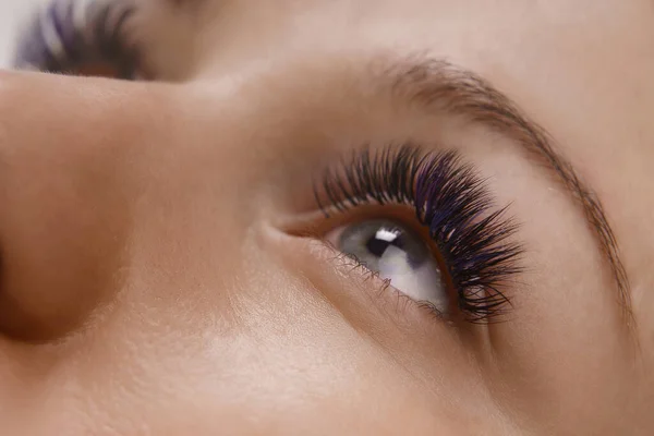 Procédure d'extension des cils. Vue rapprochée d'un bel œil féminin avec de longs cils, une peau lisse et saine. — Photo