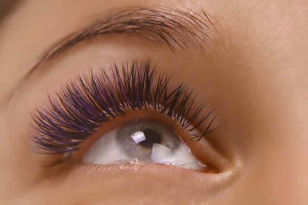 Eyelash Extension Procedure. Close up view of beautiful female eye with long eyelashes, smooth healthy skin. — Stock Photo, Image