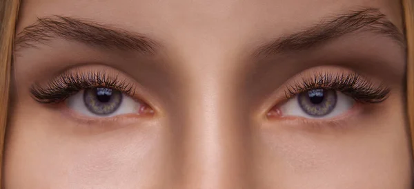 Eyelash Extension Procedure. 긴 눈썹을 가진 여인의 눈. 가까이 하고, 선택적 인 초점. — 스톡 사진