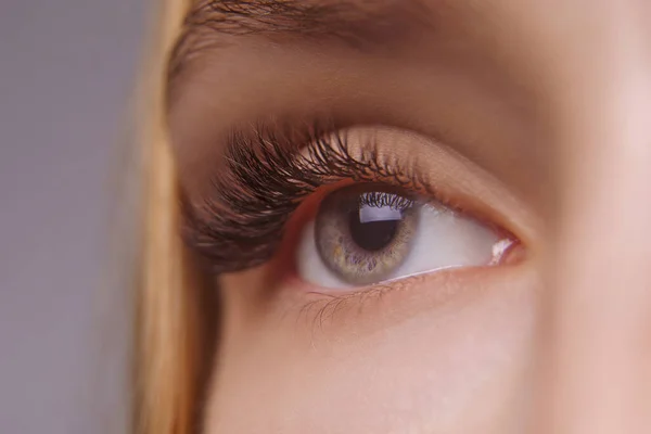 Procedimiento de extensión de pestañas. Ojo de mujer con pestañas largas. Primer plano, enfoque selectivo. — Foto de Stock