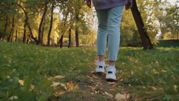 Takaisin Kaunis onnellinen hymyilevä nuori nainen yllään vaaleanpunainen huppari kävely syksyllä puistossa. Kausi ja ihmiset käsite. Luonto, hidastus. — kuvapankkivideo
