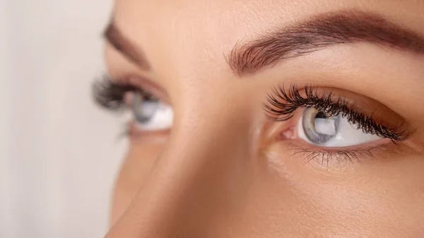 Ögonfransförlängningsprocedur. Kvinna Öga med långa ögonfransar. Närbild, selektivt fokus. — Stockfoto