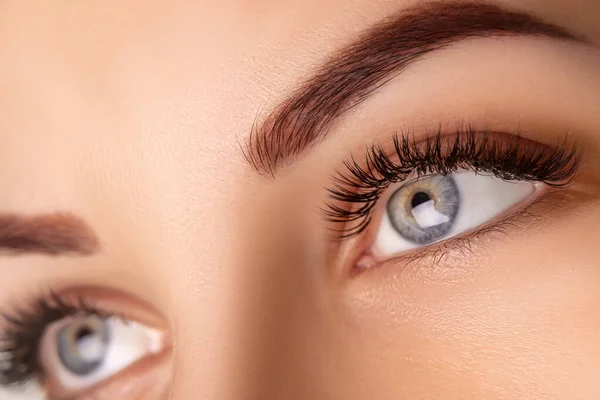 Szempilla-hosszabbítási eljárás. Női szem hosszú szempillákkal. Közelkép, szelektív fókusz. — Stock Fotó