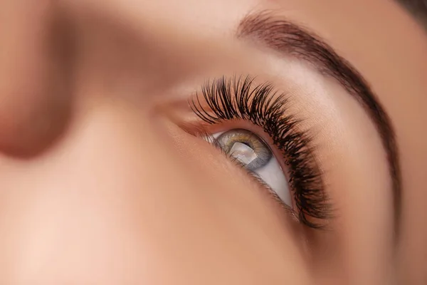 Eyelash Extension Procedure. 긴 눈썹을 가진 여인의 눈. 가까이 하고, 선택적 인 초점. — 스톡 사진
