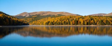 Göl ve ormanlı dağ manzarası