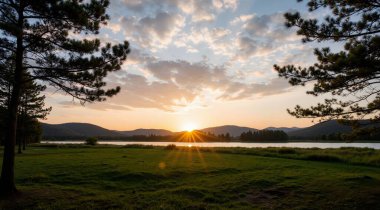 Ormanda güzel bir gün batımı