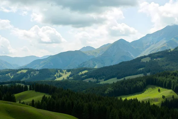 güzel yaz dağ manzarası