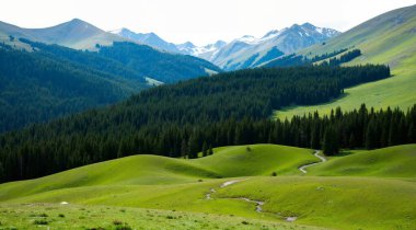Kuzey Kafkasya ve Rusya 'nın dağlarındaki yeşil dağ manzarası