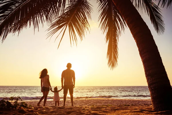 Tropical falimy vacations concept sea sunset palm — Stock Photo, Image