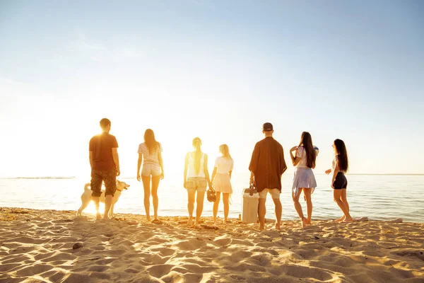 Grande grupo de amigos pôr do sol praia piquenique — Fotografia de Stock