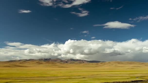 Pré avec troupeau de moutons contre les montagnes et le ciel — Video