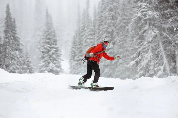 Snowboarder női offpiste erdő sípálya — Stock Fotó