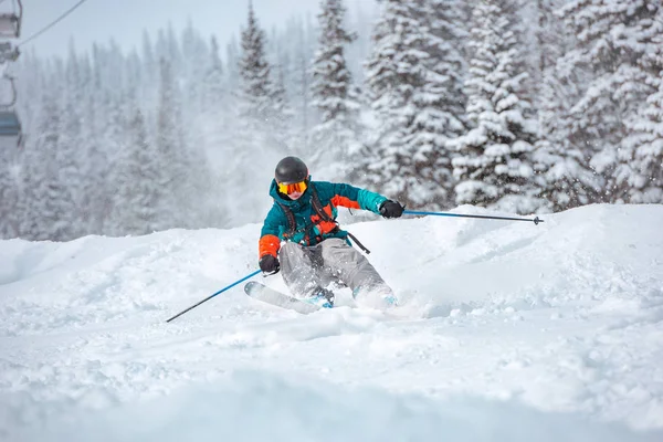 Freeride skidåkare vid offpist-sluttningen i skog — Stockfoto