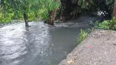 Nehirdeki güçlü akıntı, sonbaharda sağanak yağışlardan sonra sular çamurlu oldu..