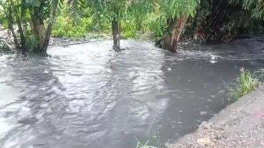 Nehirdeki güçlü akıntı, sonbaharda sağanak yağışlardan sonra sular çamurlu oldu..