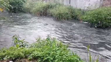 Nehirdeki güçlü akıntı, sonbaharda sağanak yağışlardan sonra sular çamurlu oldu..