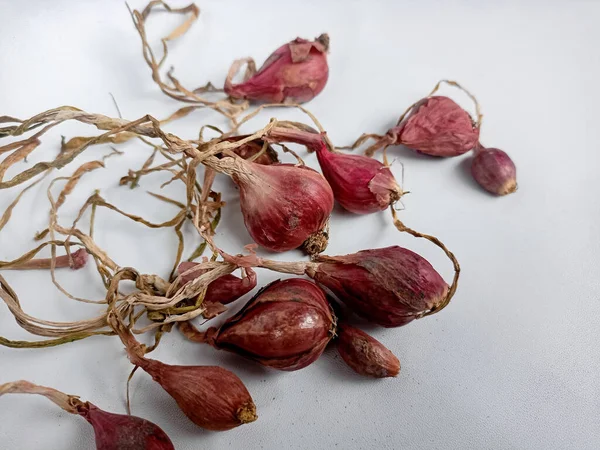 Beyaz bir arka planda soğancık soğan