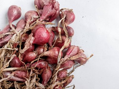 Beyaz bir arka planda soğancık soğan