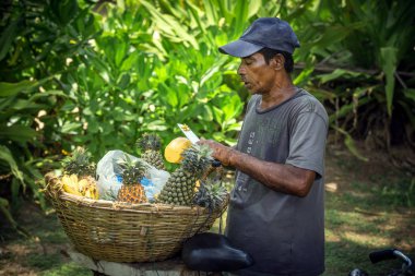 Sri Lanka, Bentota - 20 Nisan 2018: ananas tüccar