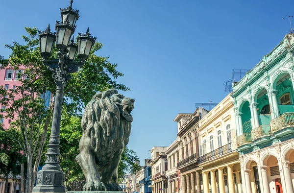 Kuba Havana Května 2017 Bronzový Lev Historické Budovy Prado Boulevard — Stock fotografie