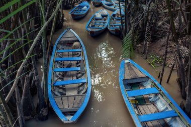  Mekong nehri yakınında Vietnam geleneksel tekneler