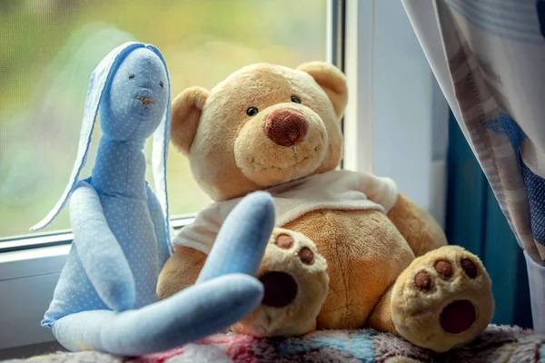 Bir çift oyuncak - tavşan ve oyuncak ayı