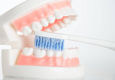 Diş diş diş bakımı kavramı aracında modeliyle.