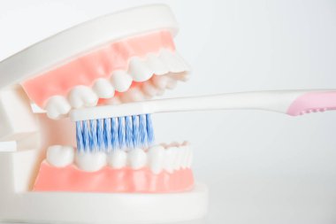 Diş diş diş bakımı kavramı aracında modeliyle.