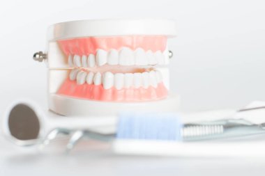 Diş diş diş bakımı kavramı aracında modeliyle.