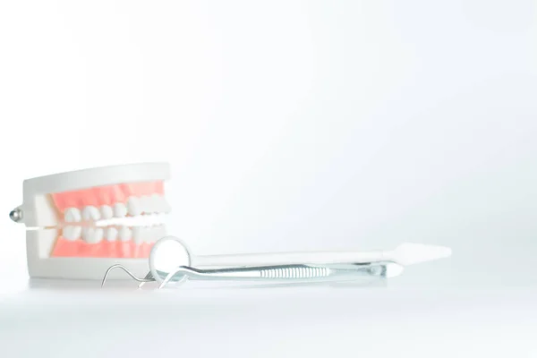 Modelo Dental Con Herramienta Dental Concepto Cuidado Dental — Foto de Stock