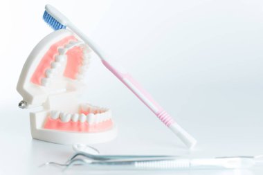 Diş diş diş bakımı kavramı aracında modeliyle.