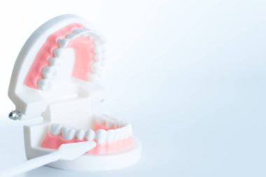 Diş diş diş bakımı kavramı aracında modeliyle.