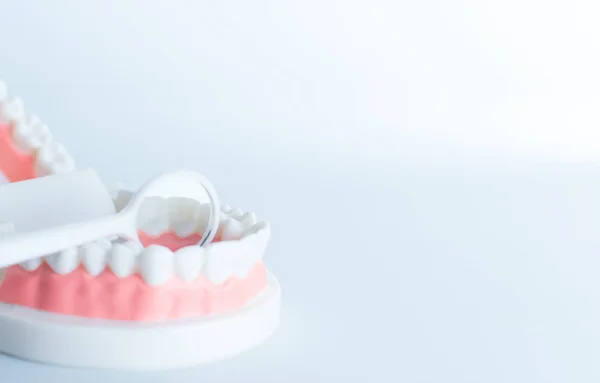 Modelo Dental Con Herramienta Dental Concepto Cuidado Dental — Foto de Stock