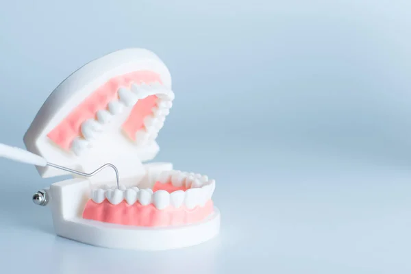 Modello Dentale Con Strumento Dentale Nel Concetto Cura Dentale — Foto Stock
