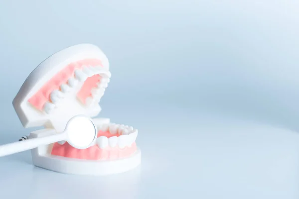 Modelo Dental Con Herramienta Dental Concepto Cuidado Dental — Foto de Stock