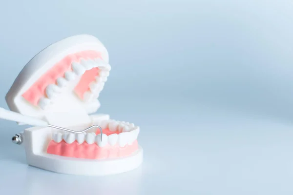 牙科护理中牙科工具的牙科模型 — 图库照片