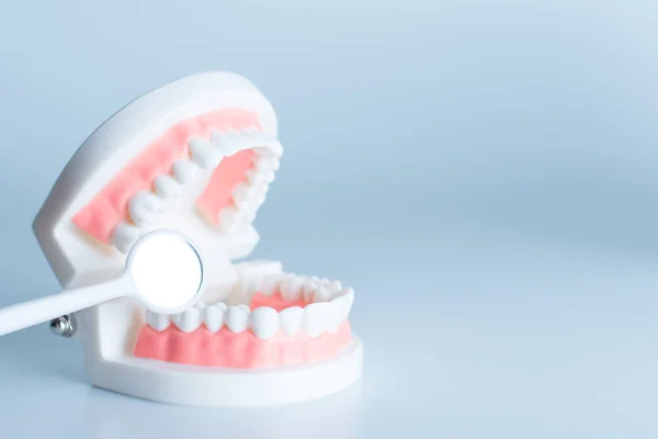 Modello Dentale Con Strumento Dentale Nel Concetto Cura Dentale — Foto Stock