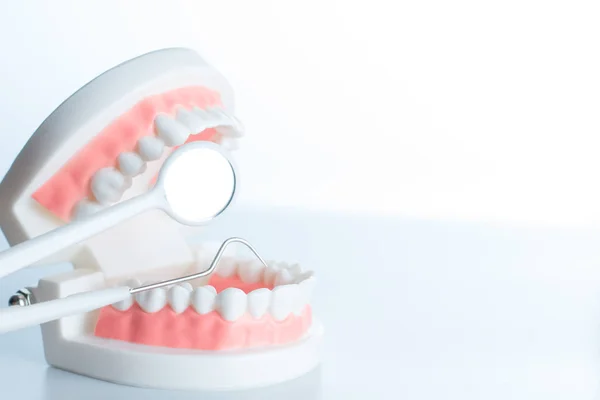 Modello Dentale Con Strumento Dentale Nel Concetto Cura Dentale — Foto Stock