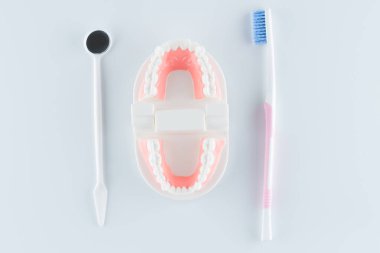 Diş sağlık kavramı içinde beyaz arka plan üzerinde diş ekipman ile diş modeli.
