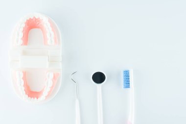 Diş sağlık kavramı içinde beyaz arka plan üzerinde diş ekipman ile diş modeli.