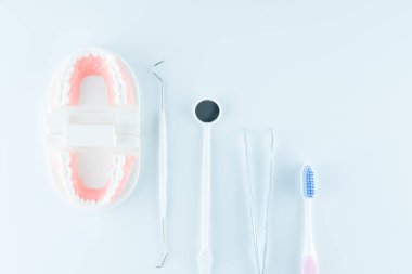 Diş sağlık kavramı içinde beyaz arka plan üzerinde diş ekipman ile diş modeli.