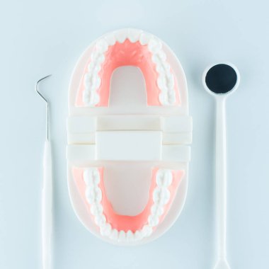 Diş sağlık kavramı içinde beyaz arka plan üzerinde diş ekipman ile diş modeli.