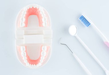 Diş sağlık kavramı içinde beyaz arka plan üzerinde diş ekipman ile diş modeli.