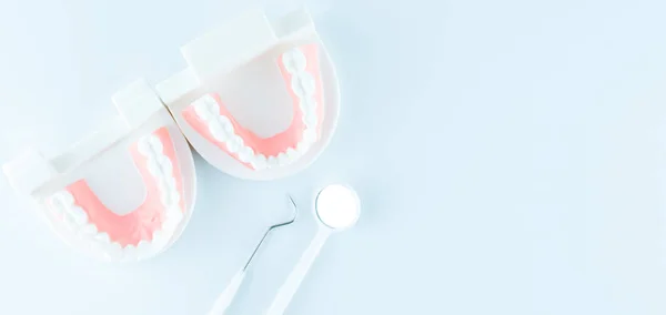 Modello Dentale Con Attrezzatura Dentale Sfondo Bianco Nel Concetto Assistenza — Foto Stock