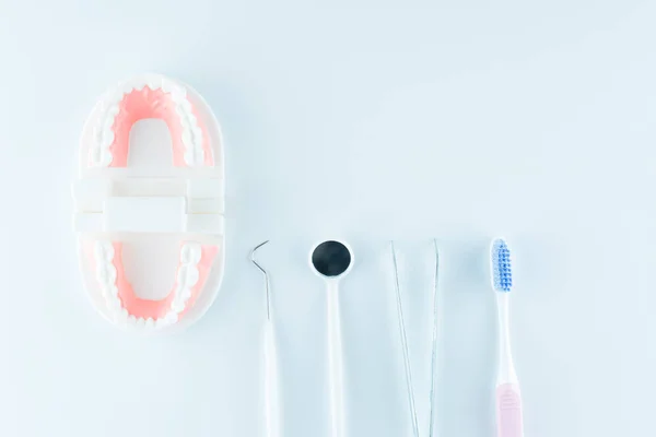 Dental Model Dental Equipment White Background Dental Health Care Concept — Stock Photo, Image